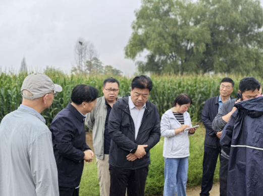 省农业农村厅全力开展农业救灾和恢复生产