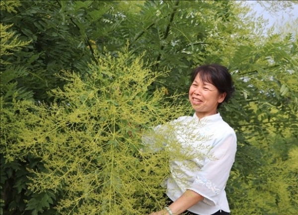 1 1